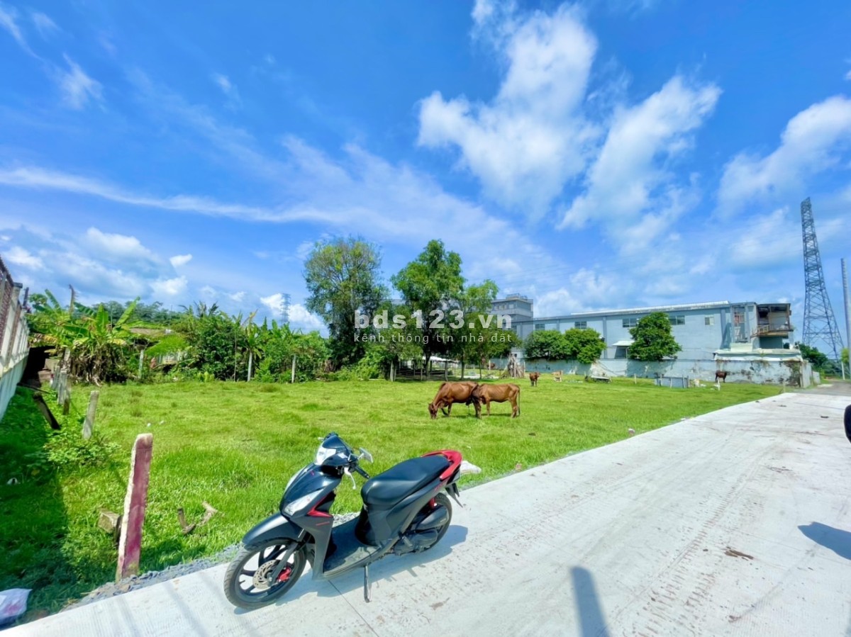 Chính chủ cần bán lô đất 112m2 full thổ sổ sẵn ngay thị trấn Hậu Nghĩa Đức Hoà Long An
