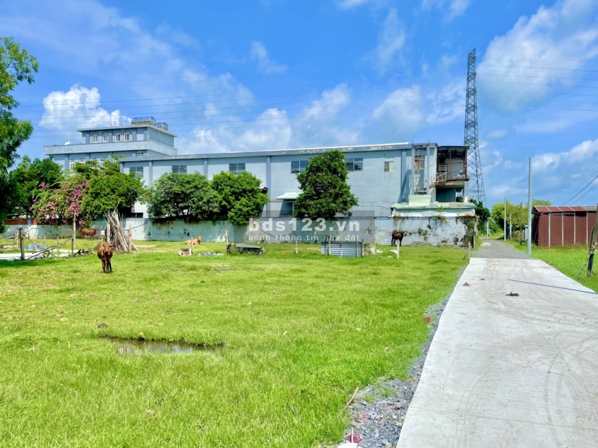 Chính chủ cần bán lô đất 112m2 full thổ sổ sẵn ngay thị trấn Hậu Nghĩa Đức Hoà Long An