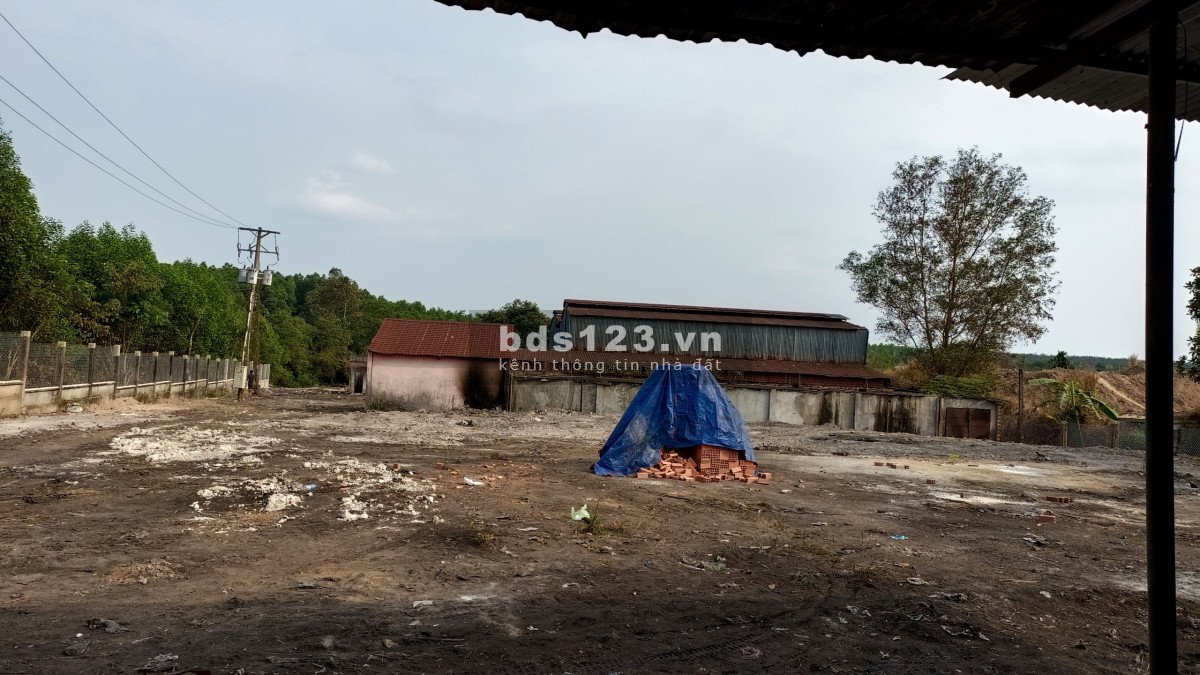 Cho thuê kho xưởng gần dự án Sân bay Long Thành, Đồng Nai, DT 7.800m²