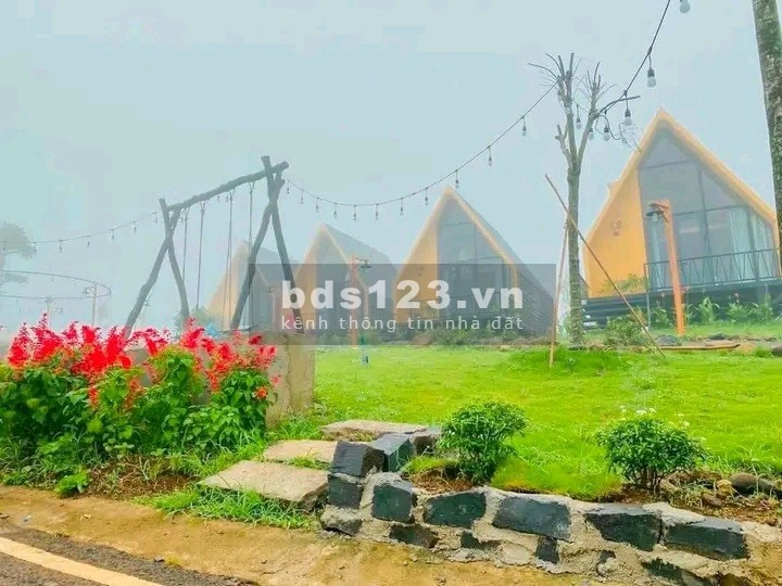 Bán đất Lâm Đồng giá đầu tư, đảm bảo lợi nhuận 32%