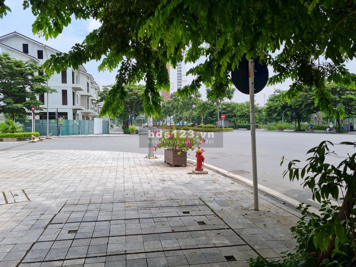 Cho thuê căn biệt thự T1 chính chủ, thuận tiện kinh doanh, LH 0919606186