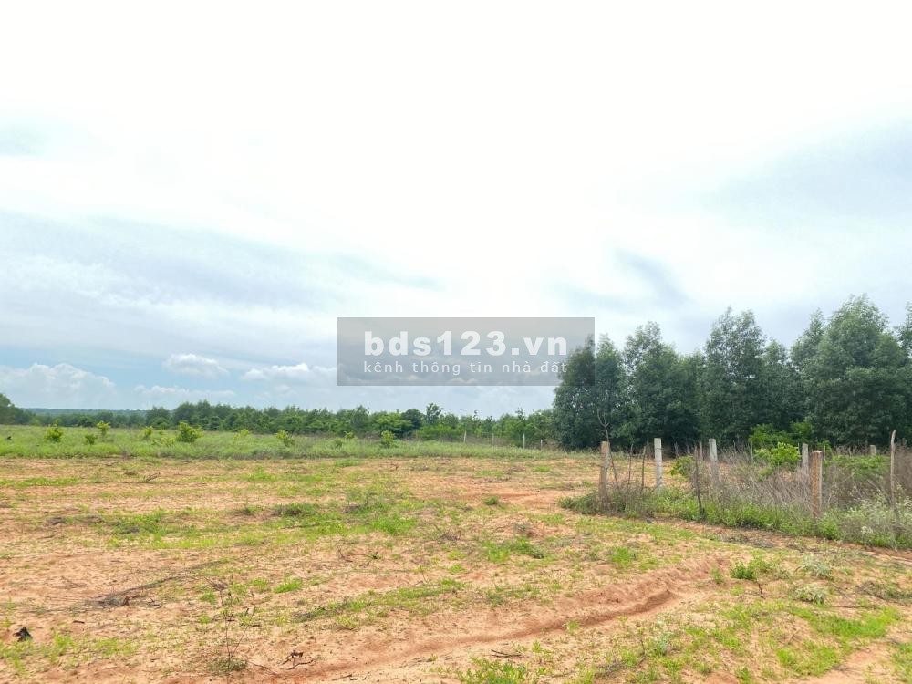 Bán 20,031M2 Đất Cây Lâu Năm Hồng Liêm, Htb Đường Ô Tô Và Dân Cư Hiện Hữu Chỉ 190K/M2
