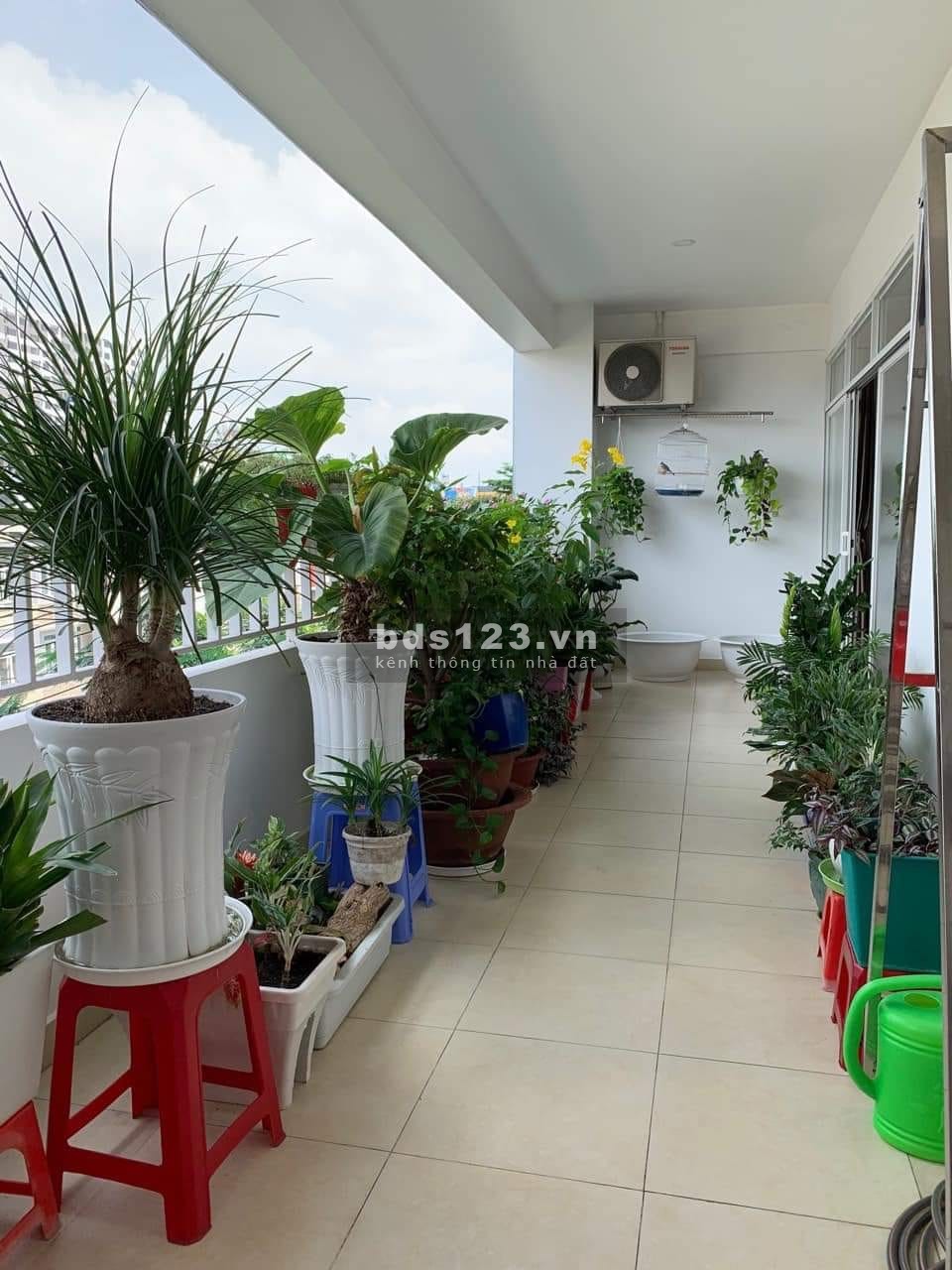 Cần bán căn hộ Linh Tây Tower, P.Linh Tây, Thủ Đức ngay Phạm Văn Đồng