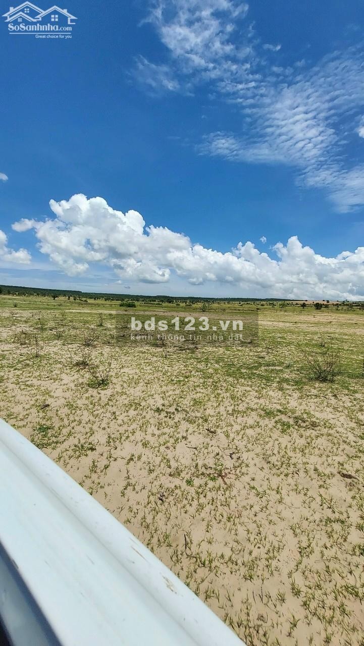 Bán đất DT 2.177m² - Sông Lũy có sổ sẵn, chỉ với 272 triệu - bao sang tên - Gần khu dân cư và QL1A
