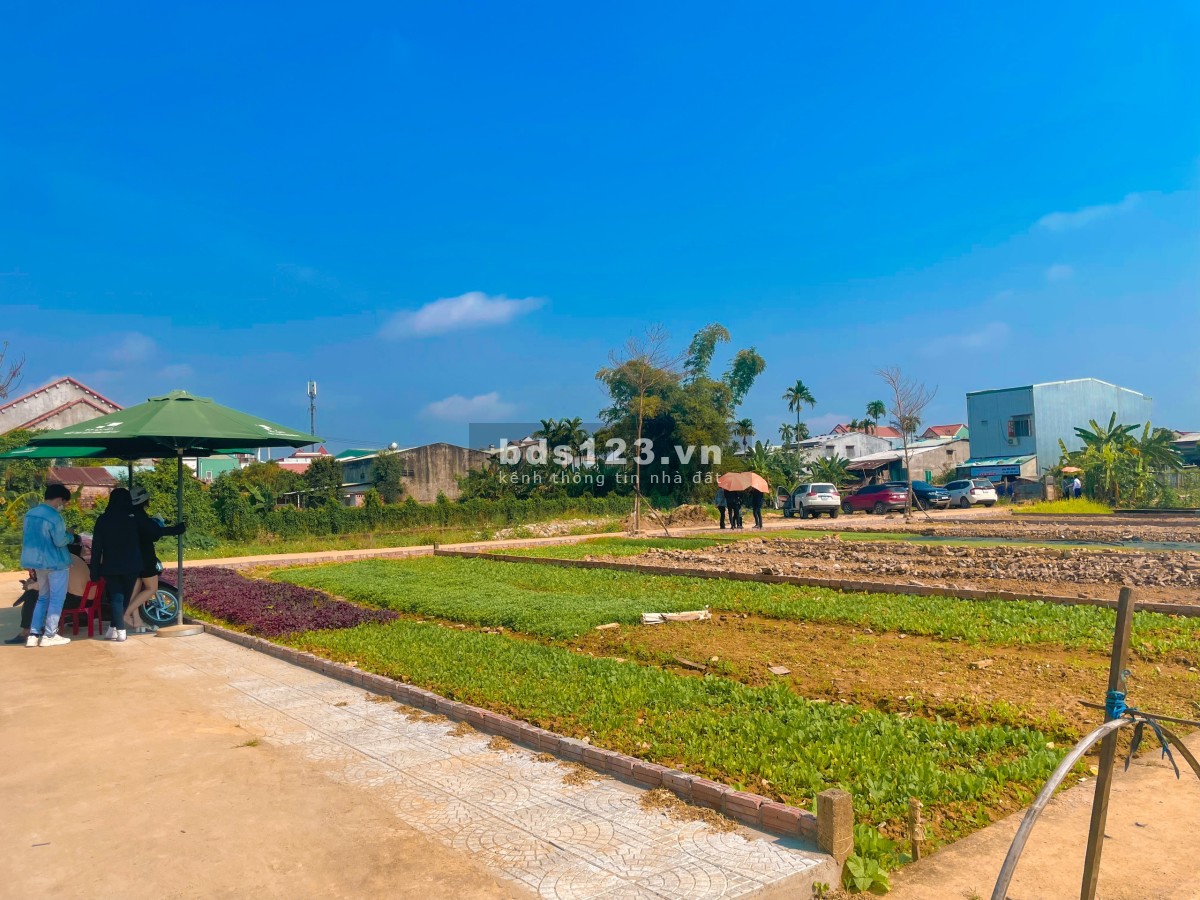 ĐẤT NGHĨA TRUNG VILLA HOUSE – SỰ LỰA CHỌN LÝ TƯỞNG