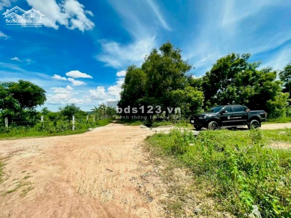 Bán 8459m2 đất Sông Lũy 145k/m2, cách QL1A 2km, cách Bình Sơn Farm 400m