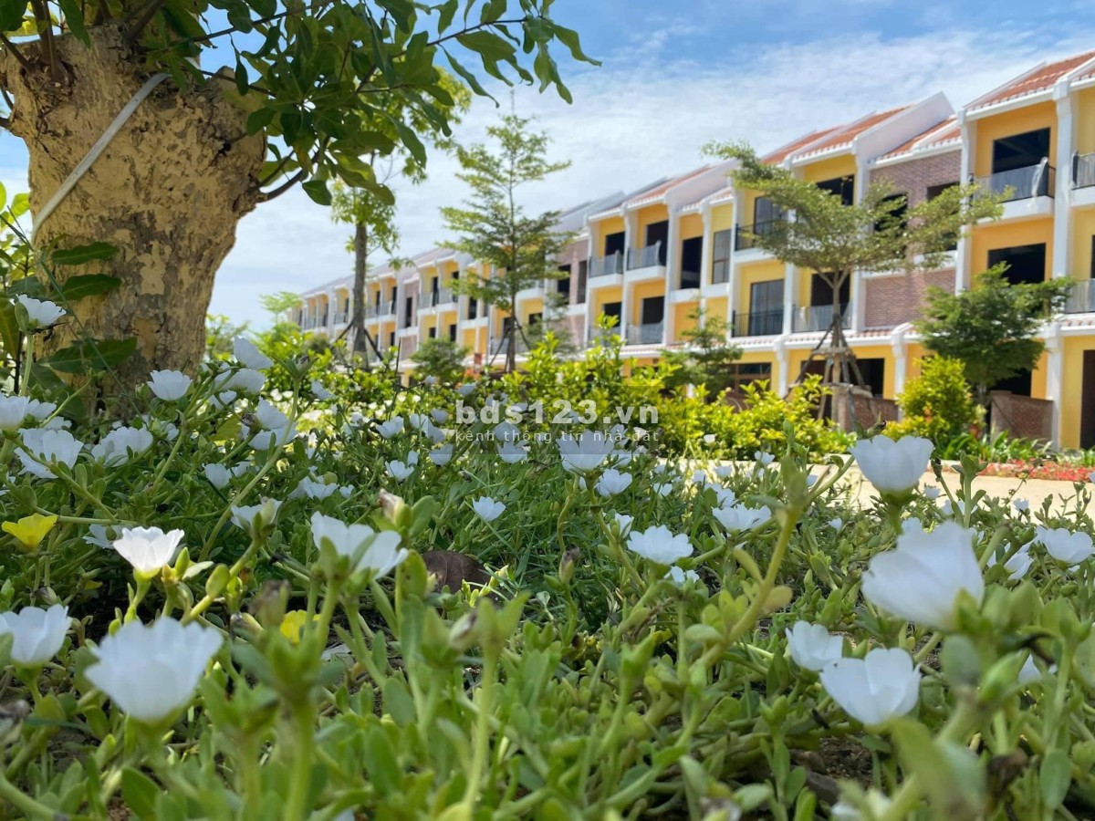 Bán ngay nhà phố mặt sông Hội An trả trước chỉ 800 triệu, khai thác cho thuê lên đến 300 triệu/năm
