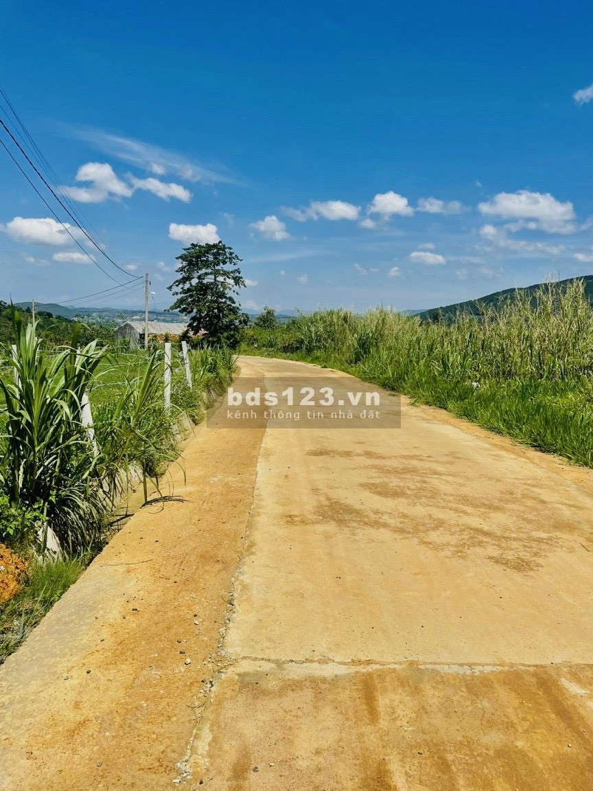 Chính chủ định cư nước ngoài, cần bán gấp lô đất trong tháng