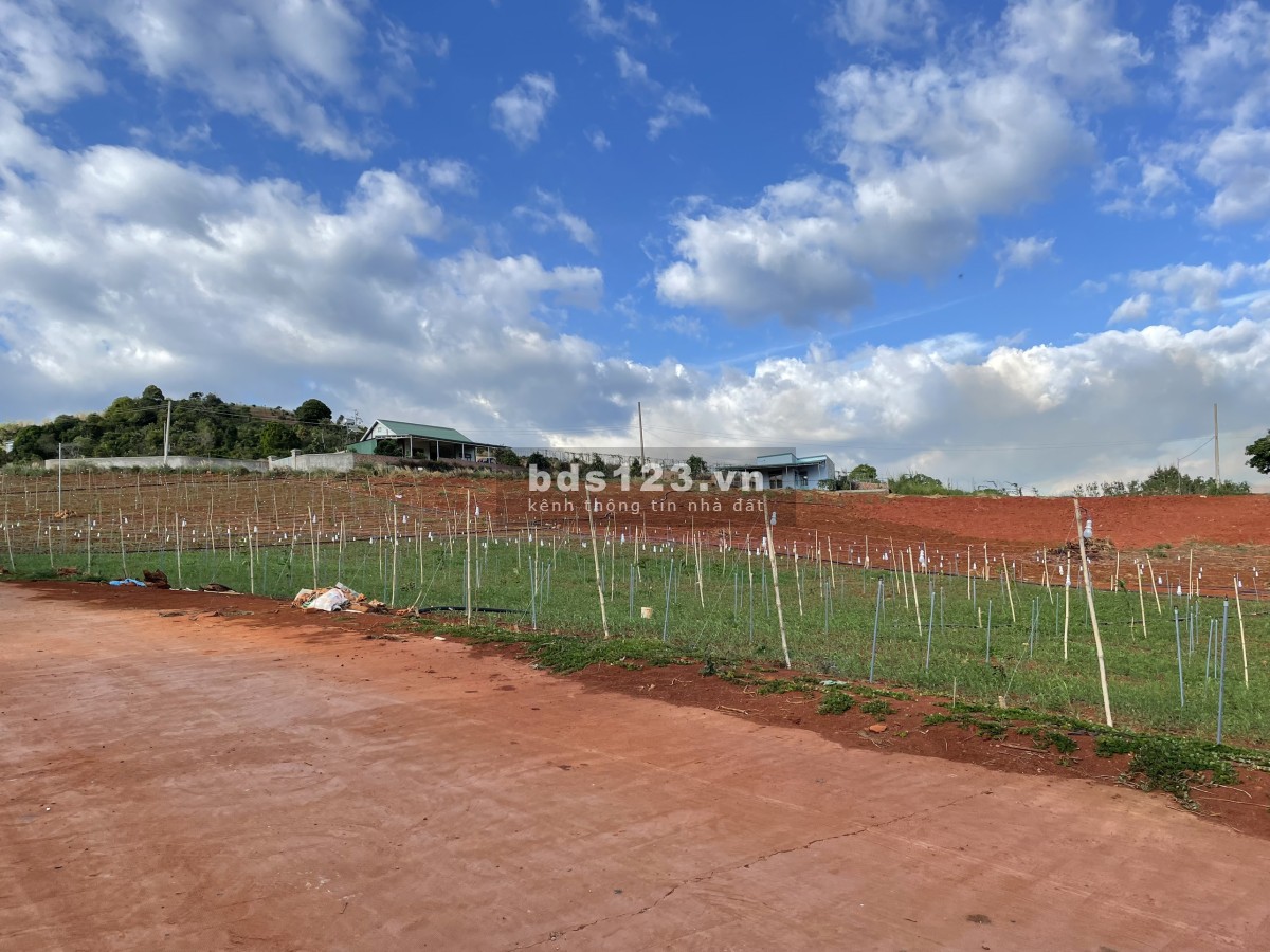 Bán đất chính chủ 534m2 gần đường nhựa, có sổ hồng riêng, cam kết giá rẻ