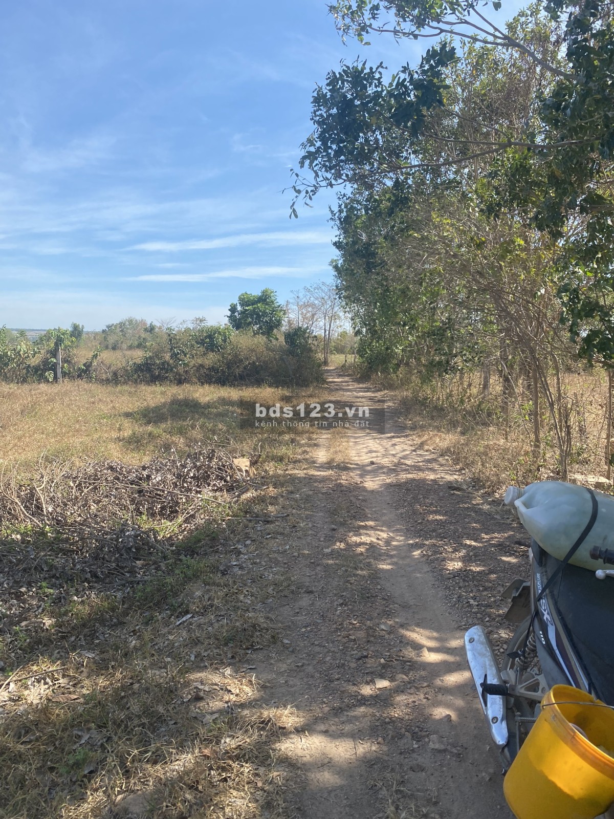 Vườn Điều 1,2 Hecta Có Ao Đẹp 300M2, Trồng Rau, Nuôi Cá, Farmstay - Sổ Hồng Riêng