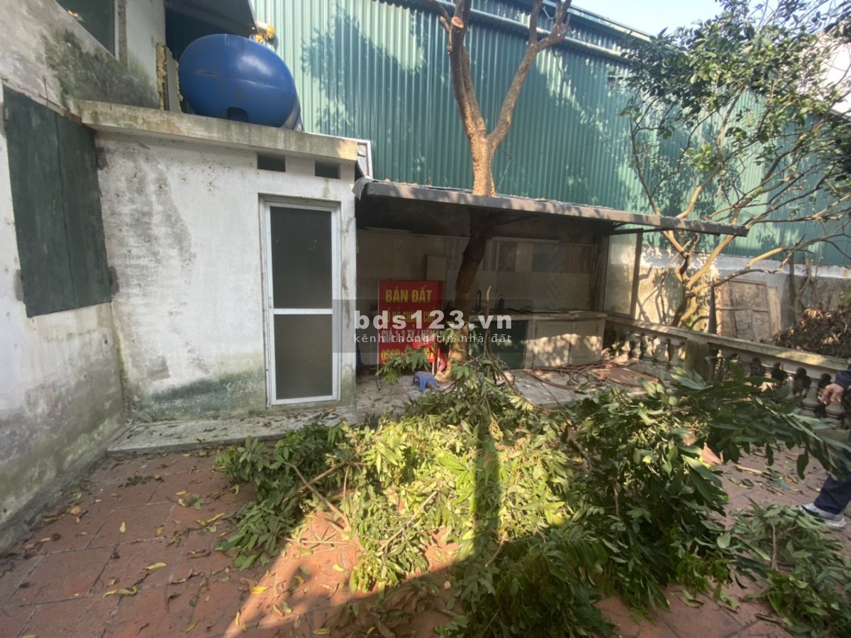 Cho thuê nhà cấp 4 Phú Diễn diện tích 300m2, đường rộng.