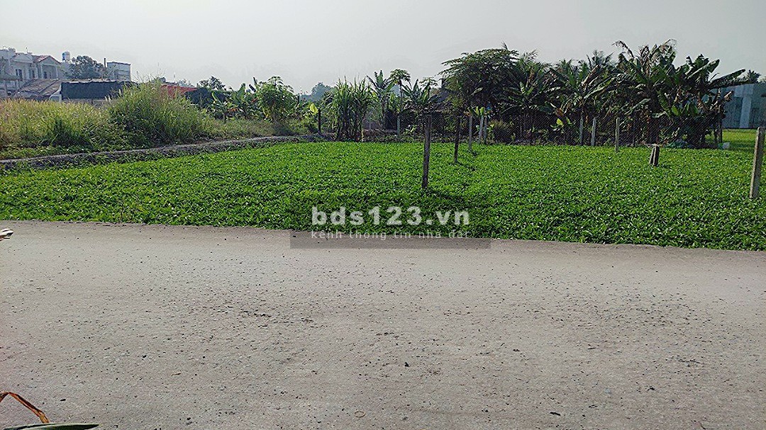 Đất đường xe tải rộng, gần UBND Xã Bình Mỹ, Củ Chi, 990tr