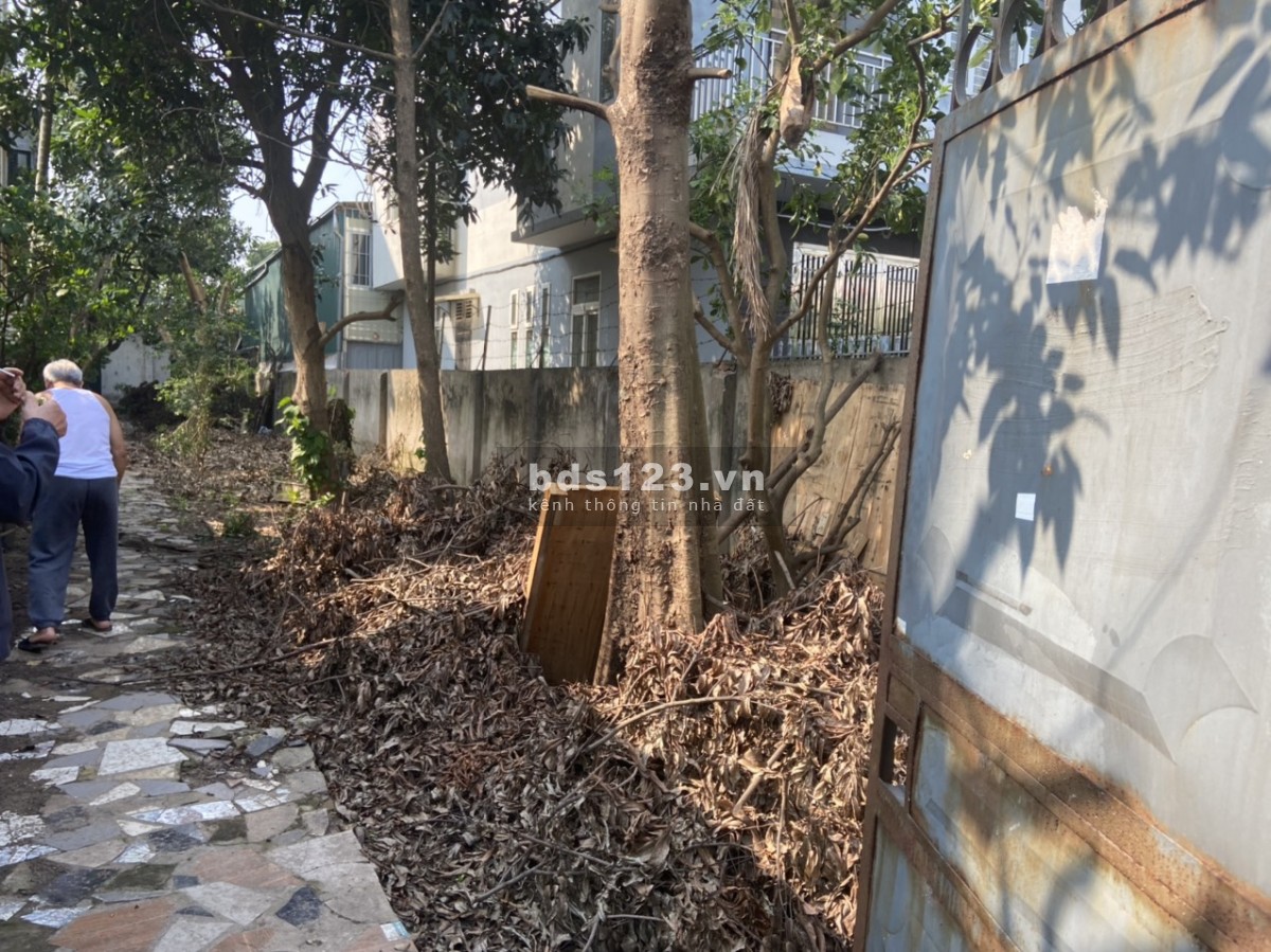 Cho thuê kho 300m2 ở Phú Diễn liên hệ 0911032682