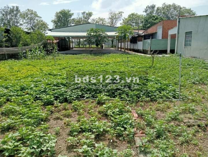 Bán Nhà Xưởng , Xã An Phú , Huyện Củ Chi TP HCM DT 15m x 54m = 926m2 ( Có 300m TC )