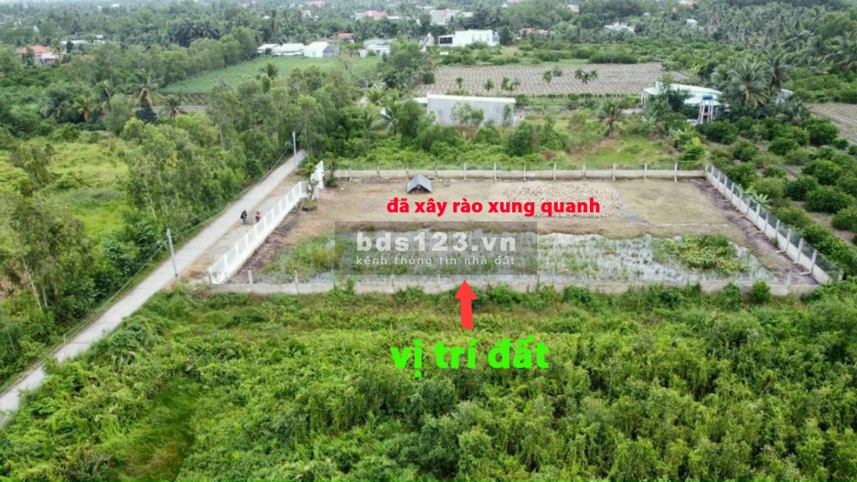 Chủ kêu bán đất lô thổ lúa Bến Lức, đã sang lấp và xây rào siêu đẹp