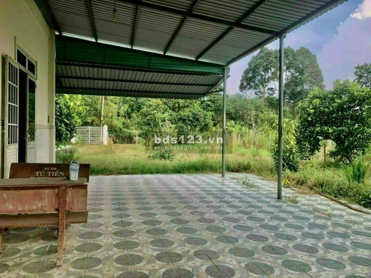 Đất Nhuận Đức DT 20m × 38m = 766m2 ( Có 300m TC )