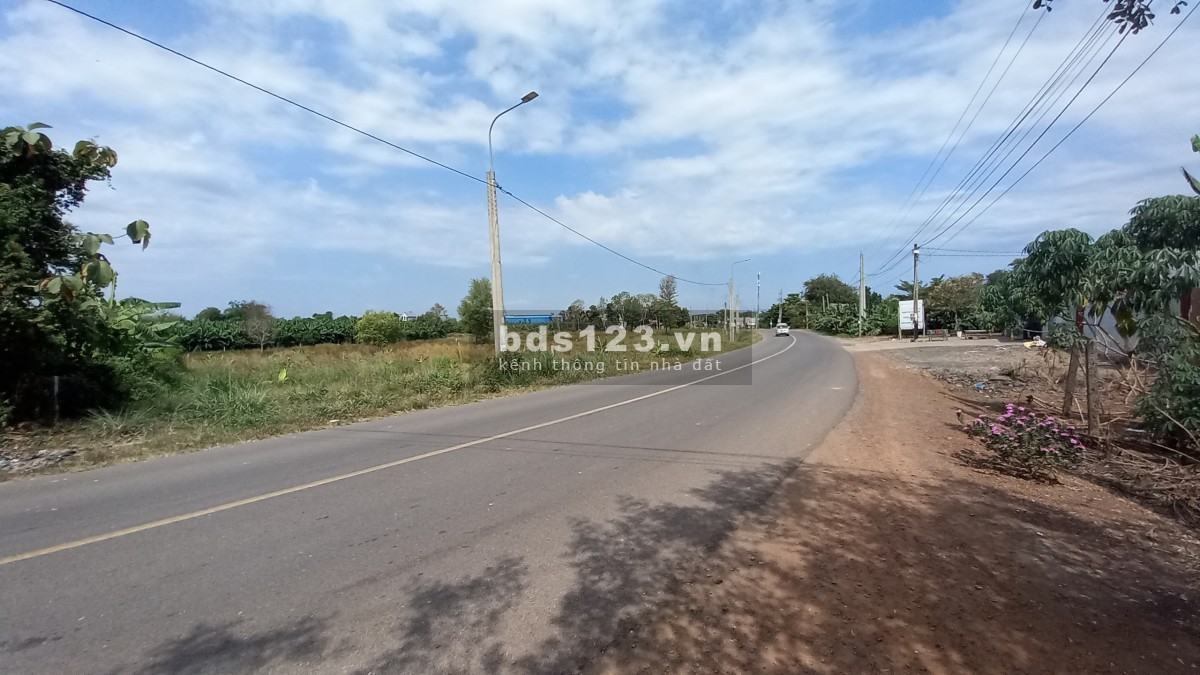 Cần bán nhanh 1300m2, có 300m2 đất thổ cư đất mặt tiền đường nhựa đường Vĩnh Tân - Cây Gáo