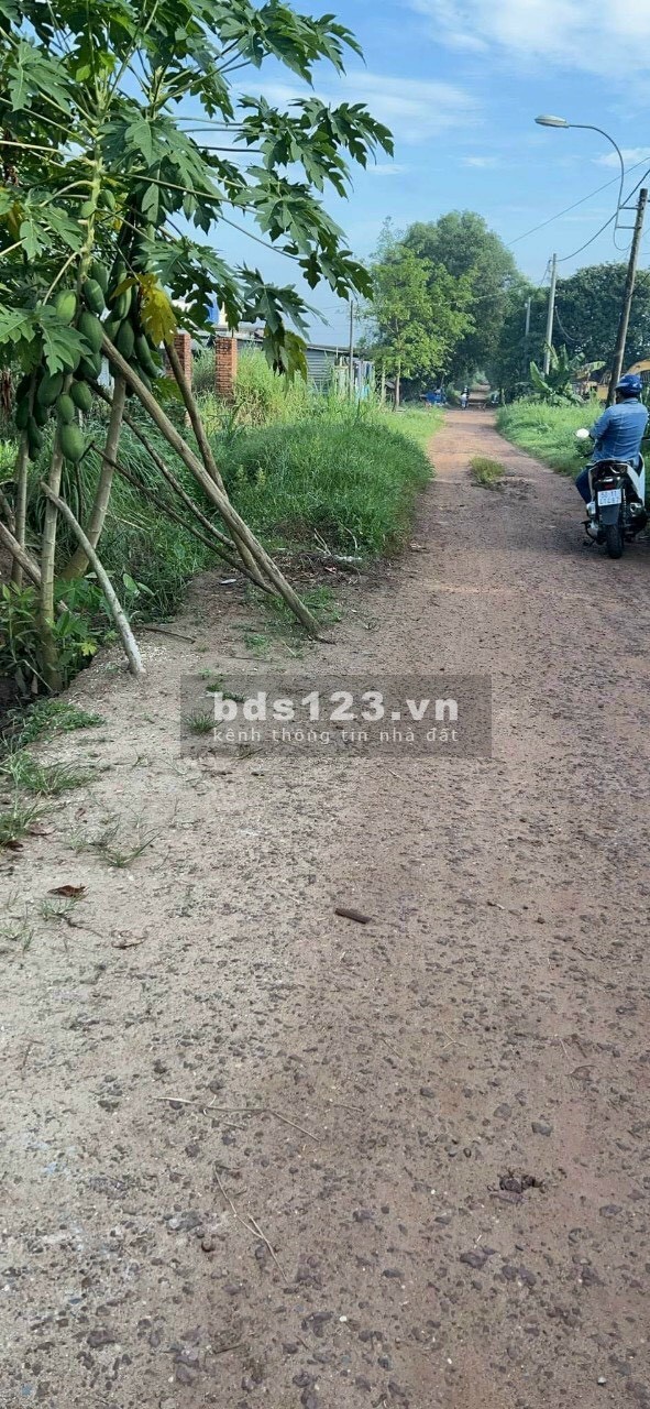 Xã Trung An, Củ Chi, Hồ Chí Minh diện tích 192m2, liên hệ 0908392268