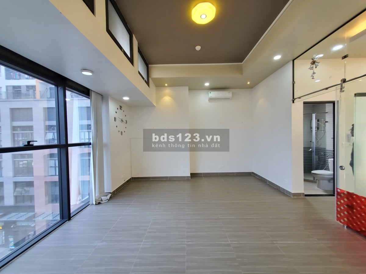 Cho thuê Officetel 56m2 nội thất cơ bản, giá rẻ The Sun Avenue Quận 2