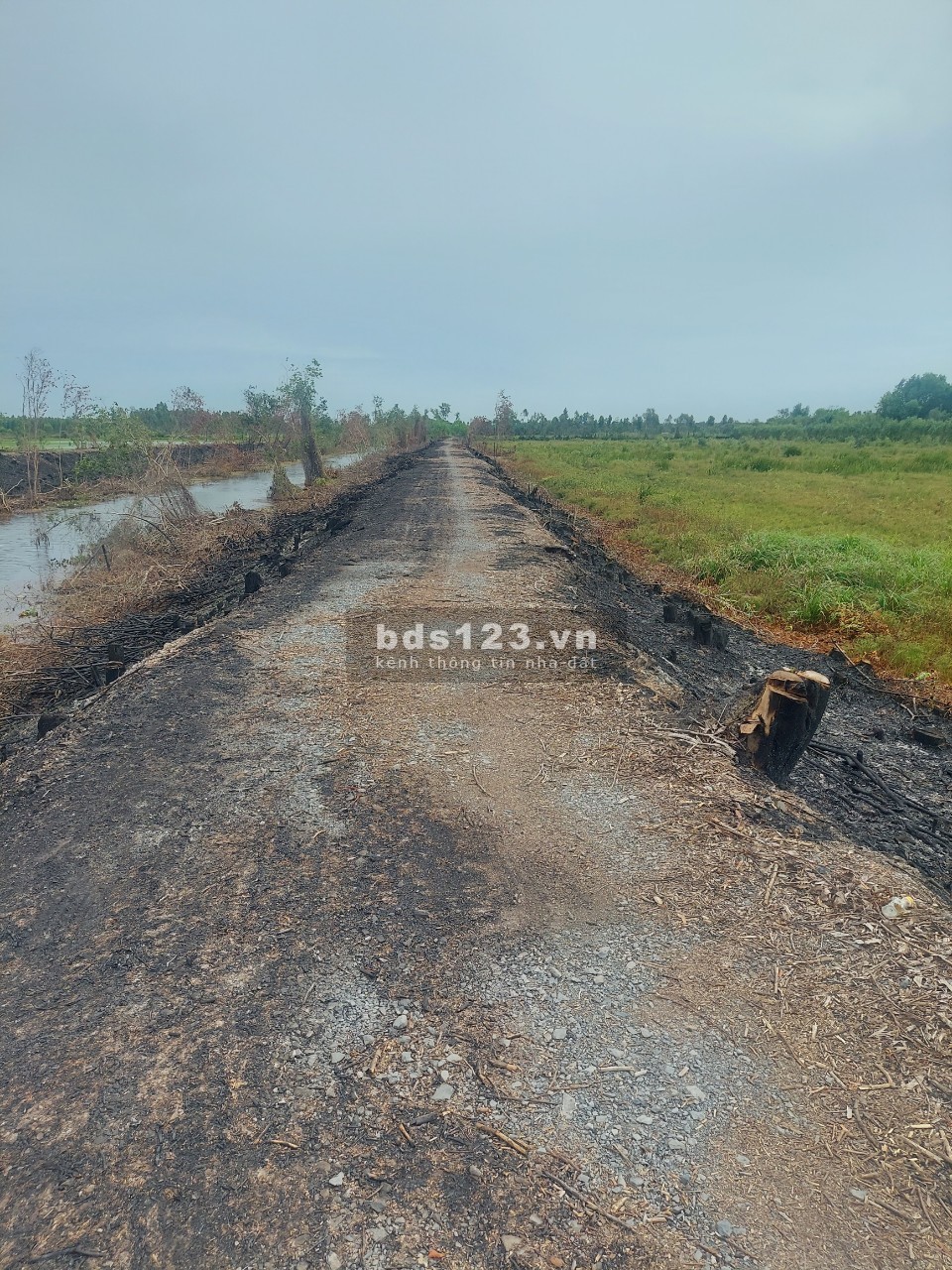 ÔM CHỦ. GIÁ ĐẦU TƯ SIÊU RẼ.KHÁCH ĐẦU TƯ BAO LỜI....Ô TÔ ĐI TỚI ĐẤT VI VU
