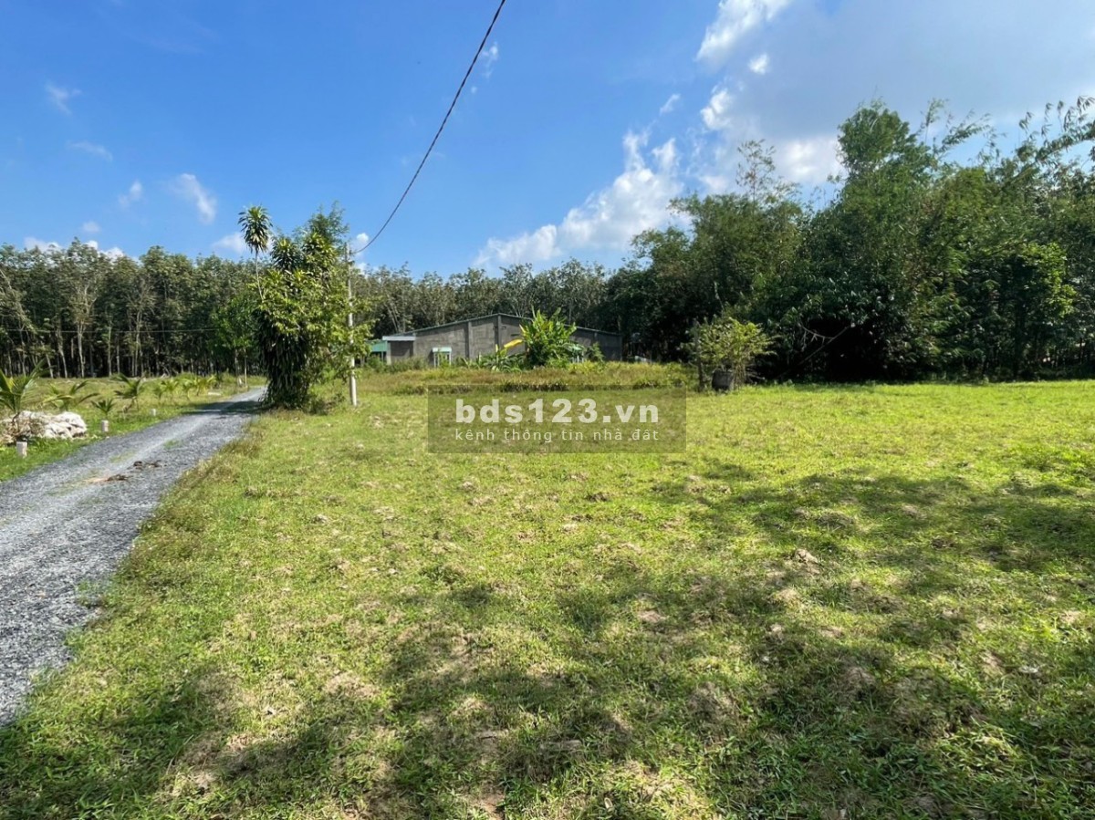 470 triệu - 125 m2 (FULL THỔ) | CHÂU THÀNH - TÂY NINH