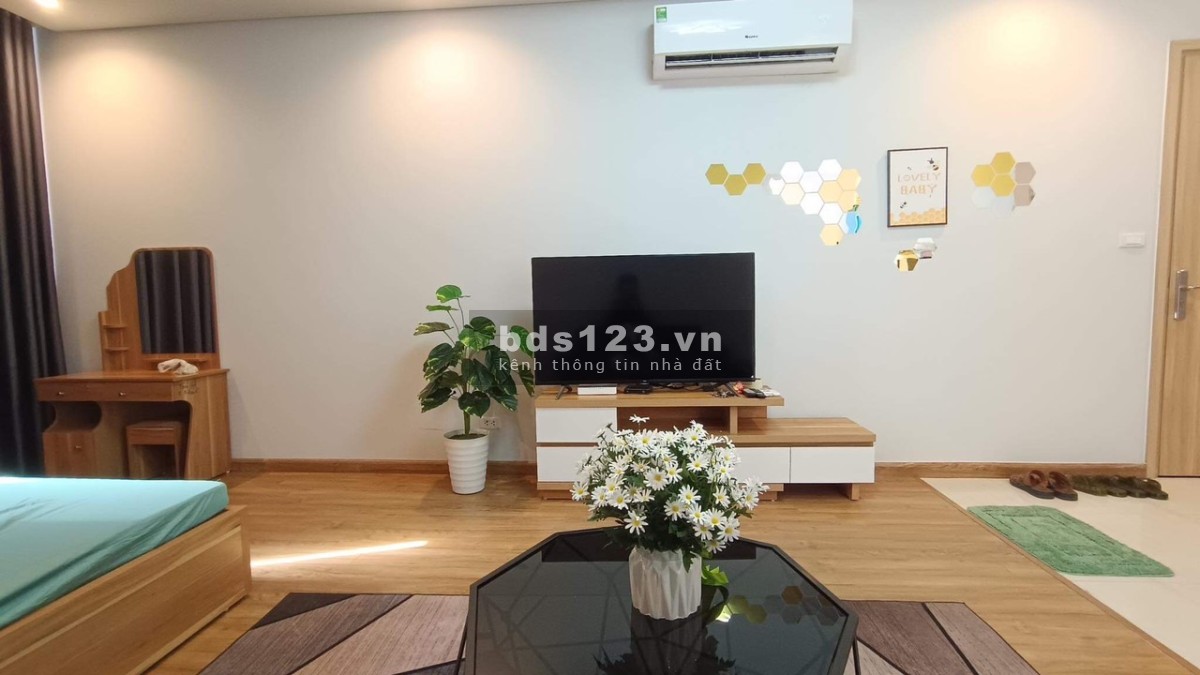 Bán căn hộ studio 35m2 tầng trung dự án Bim 30T