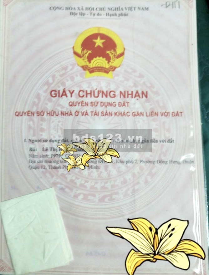 Bán nhà cấp 4 nhỏ xinh Đông Hưng Thuận 15, P. Đông Hưng Thuận Q12