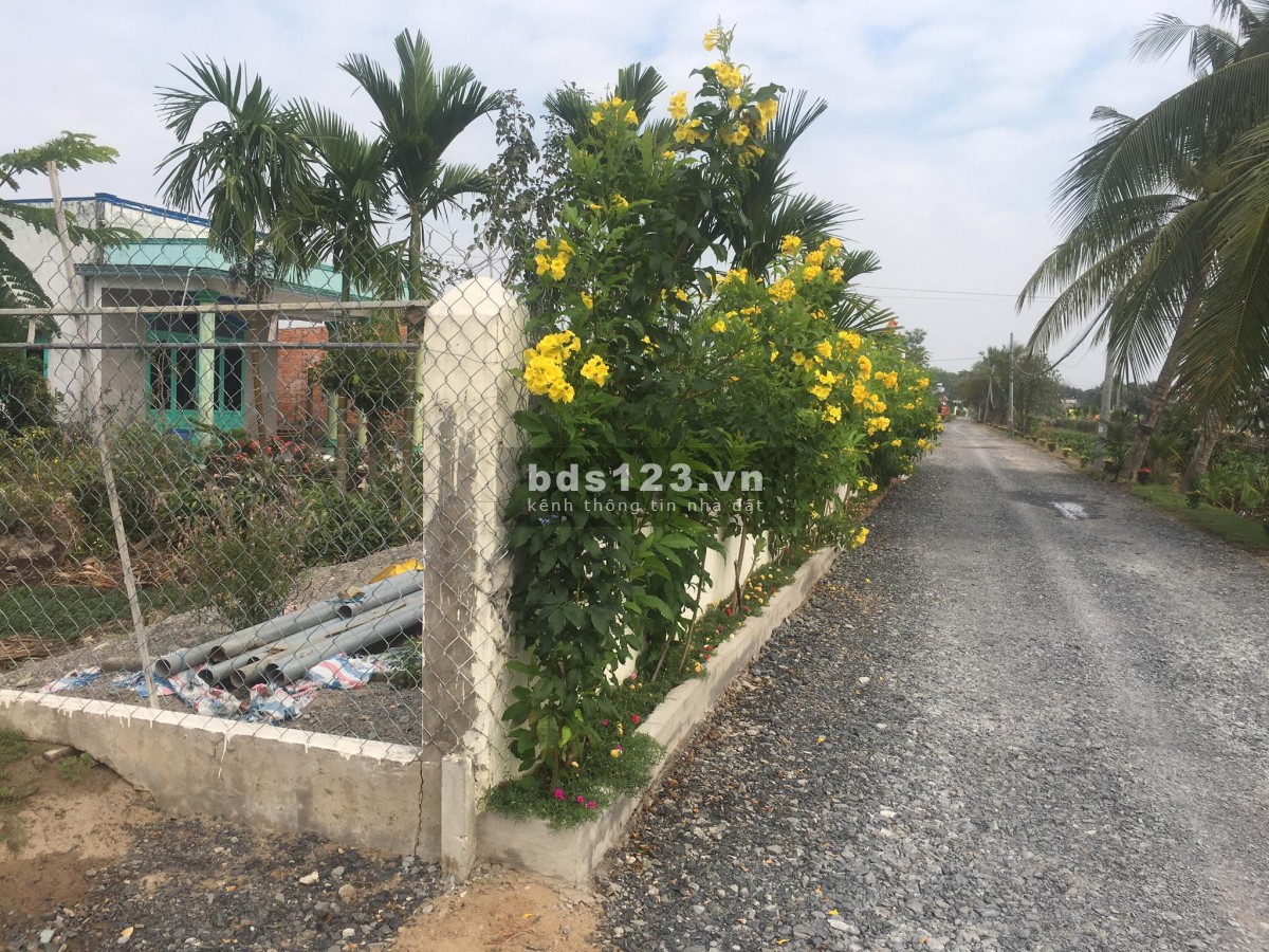 Đất SHR 185m2, ĐT 824, xã Hựu Thạnh, Đức Hoà, Long An