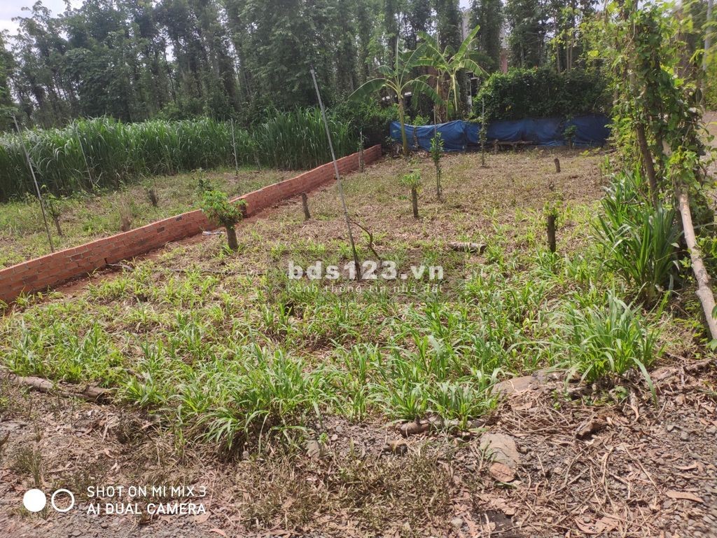 Bán đất xã Xuân Sơn, huyện Châu Đức, Bà Rịa - Vũng Tàu, diện tích 8x20m