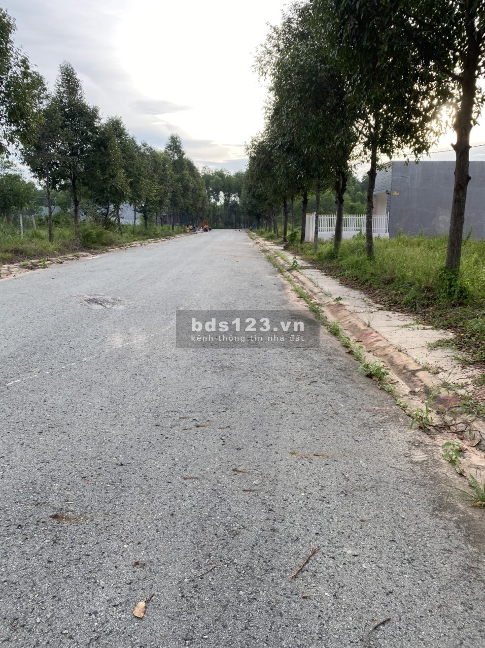 Bán 100m2 và 115m2 đất tặng 2 chỉ vàng 9999 vị trí kinh doanh buôn bán.