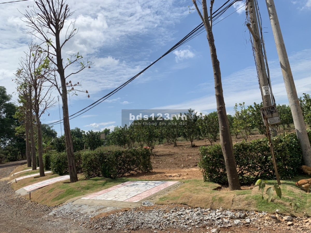 Bán đất full thổ cư khu vực La Ngà, Định Quán chỉ 599tr/142m2 có sổ riêng, giá chưa tính ck
