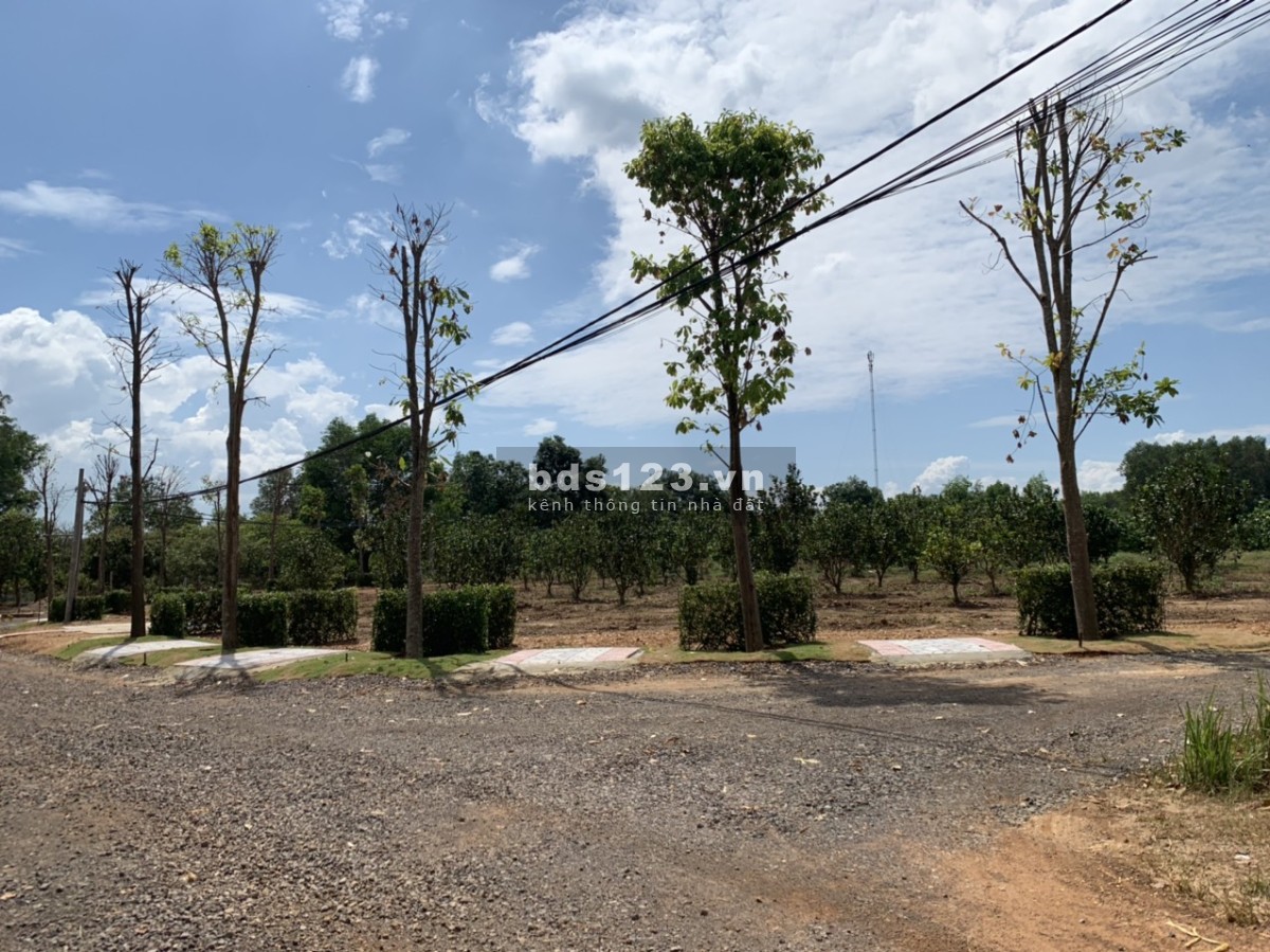 Bán đất full thổ cư khu vực La Ngà, Định Quán chỉ 599tr/142m2 có sổ riêng, giá chưa tính ck
