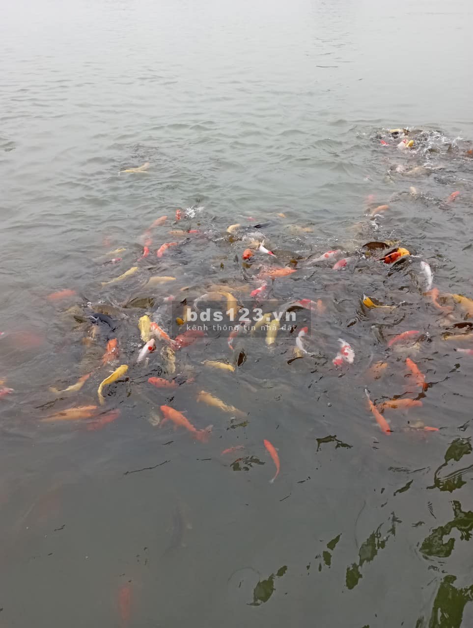 Đất nhà vườn Thổ cư chính chủ Định Quán, Đồng Nai