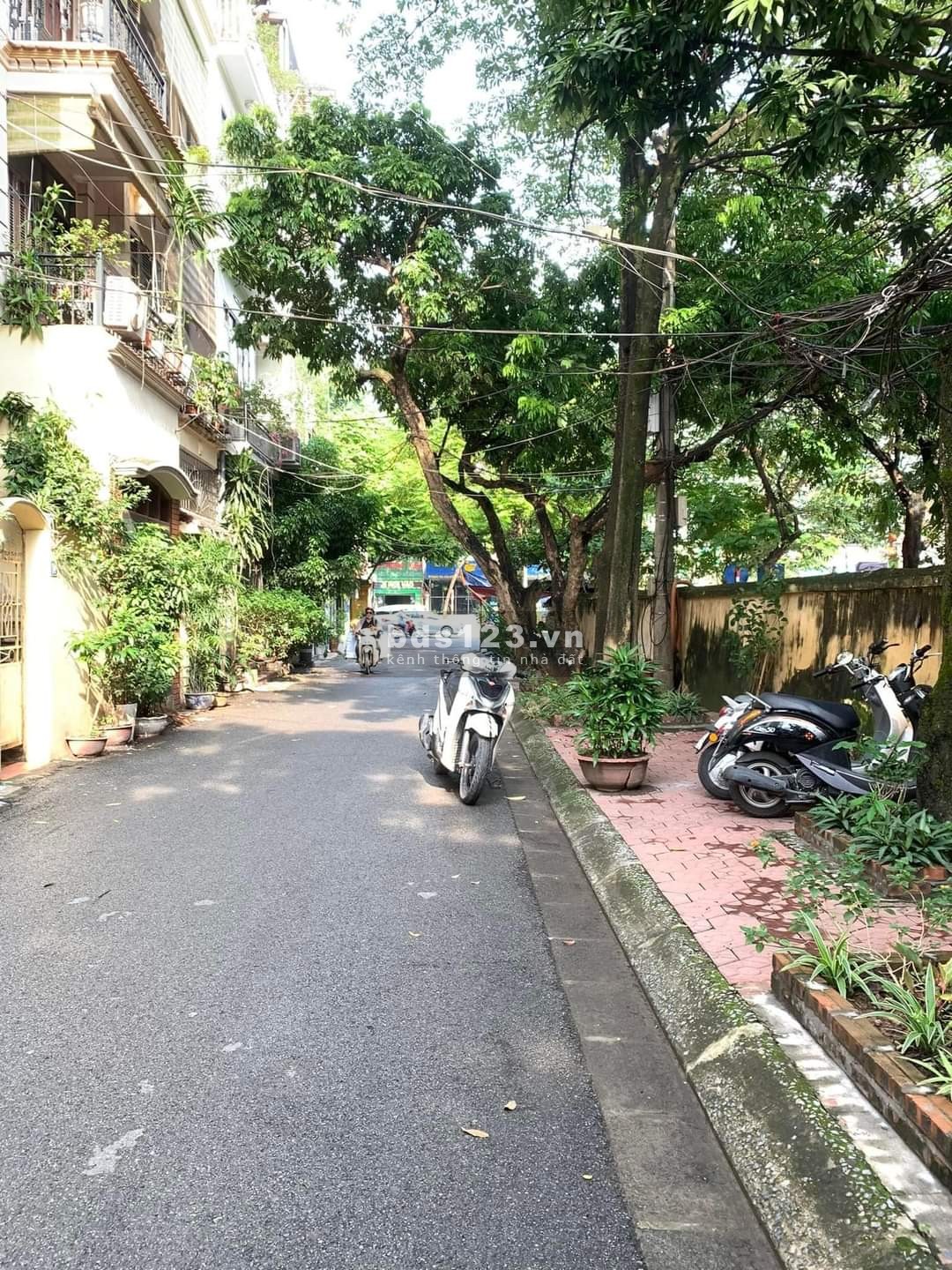 Chính chủ cho thuê nhà! vừa ở vừa kinh doanh, văn phòng,…