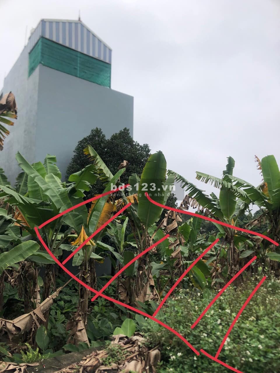 Bán đất Biên Giang, Hà Đông 68m2 giá 1,95 tỷ