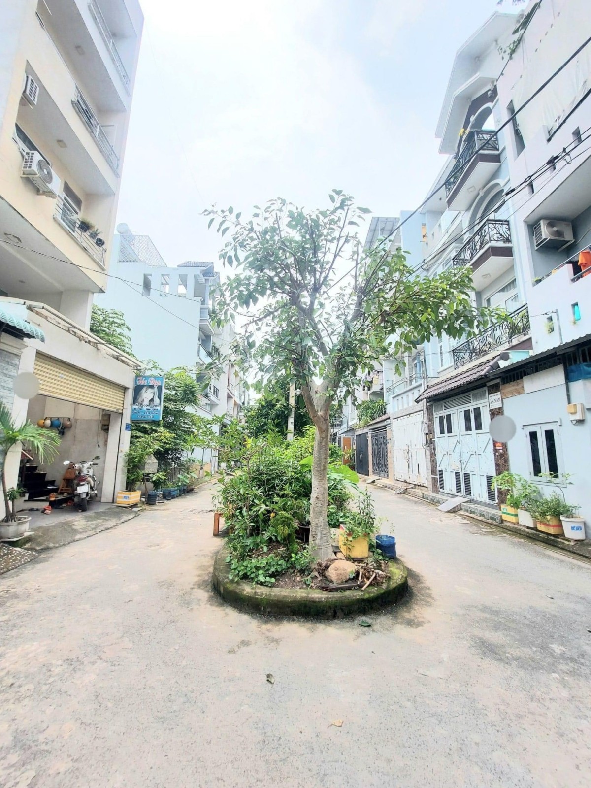 Bán đất lô Quang Trung khu phân lô Dân Trí - 80m2 giá 5 tỷ có thỏa thuận