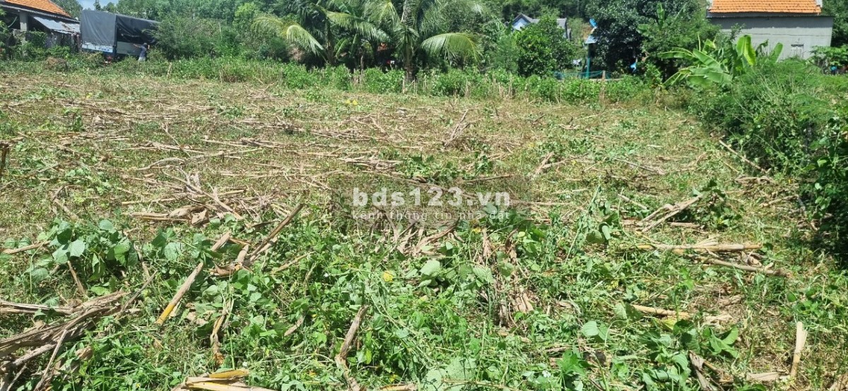 Cần bán gấp lô đất hơn 800m2 có 200m tc, giá chỉ 55tr/m ngang