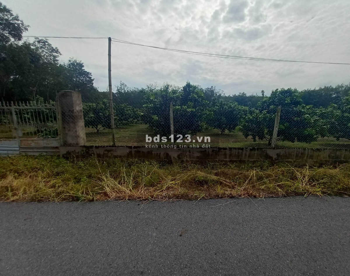 Bán đất Bình Dương 675 triệu - 1066 m2 | QL.13 vào 500m