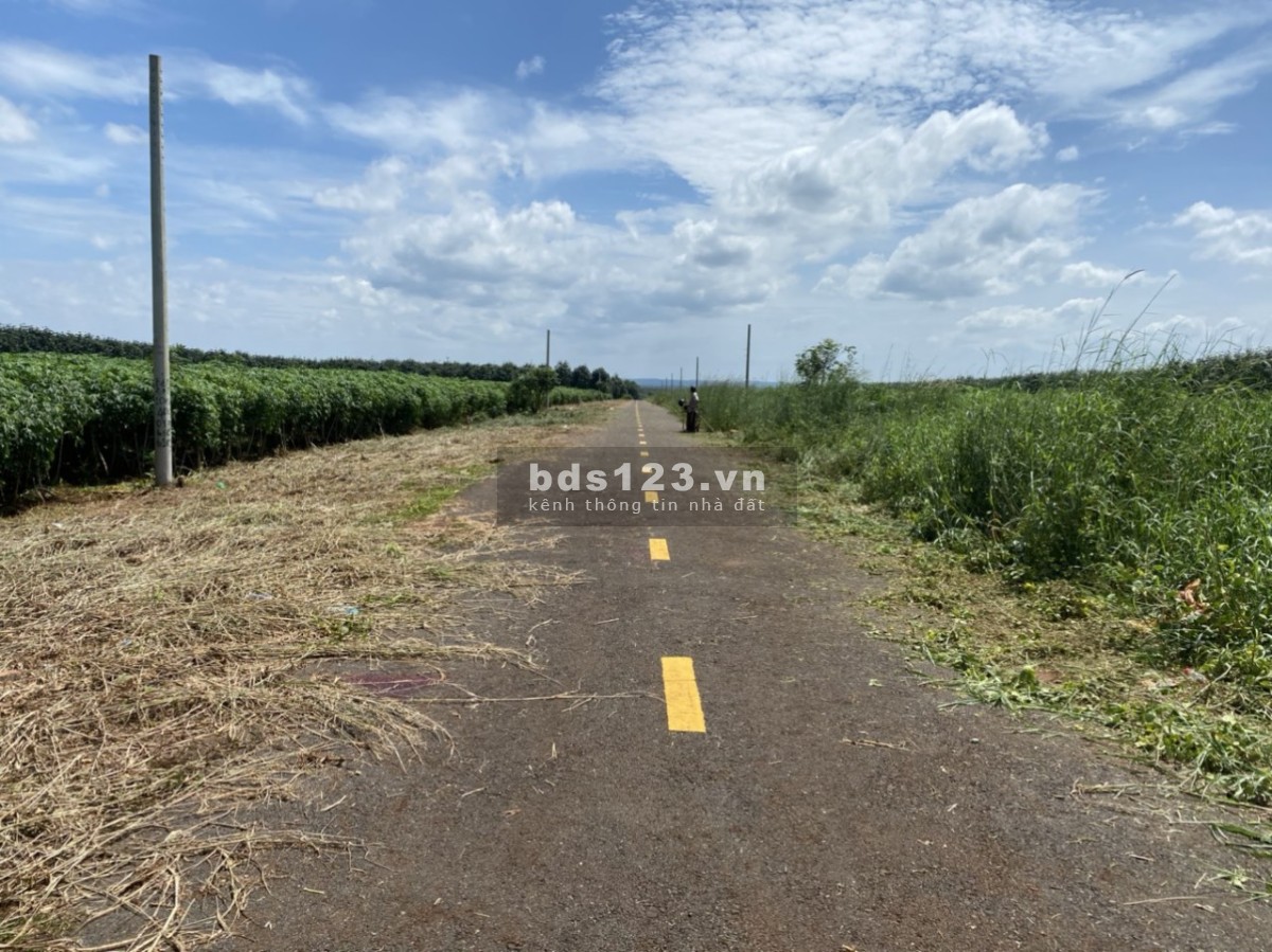 Bán đất 700 triệu - 1179,7 m2, ĐT. 756 - Bình Phước