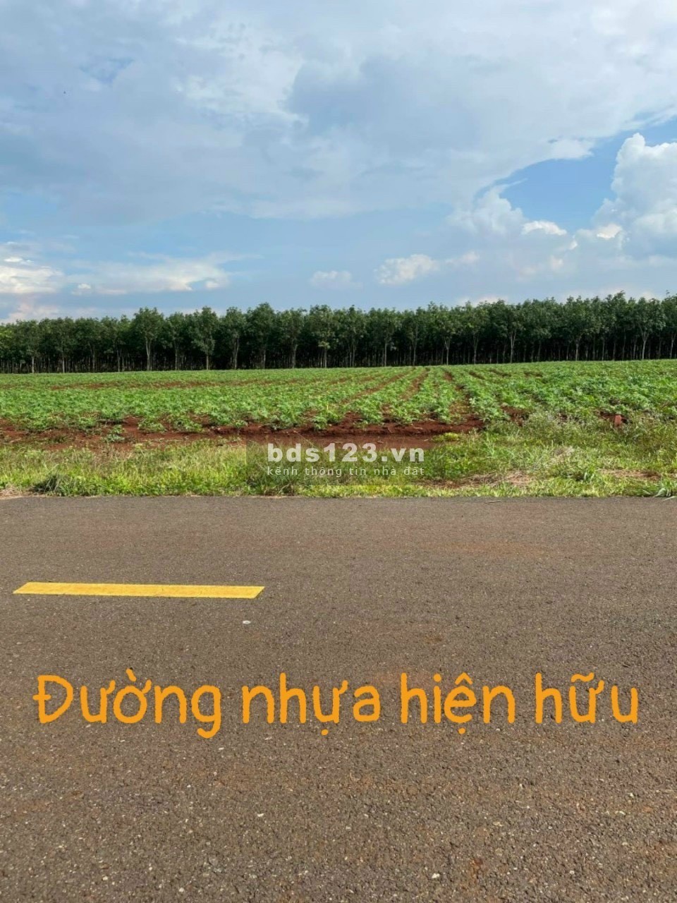 Bán đất 700 triệu - 1179,7 m2, ĐT. 756 - Bình Phước