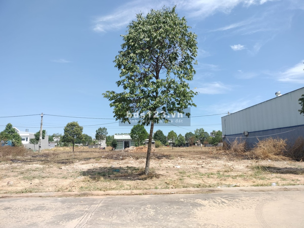 Cần tiền bán gấp lô đất 300m2 1tỷ4, mt đường 16m, gần chợ, trường ĐH. 100% thổ cư