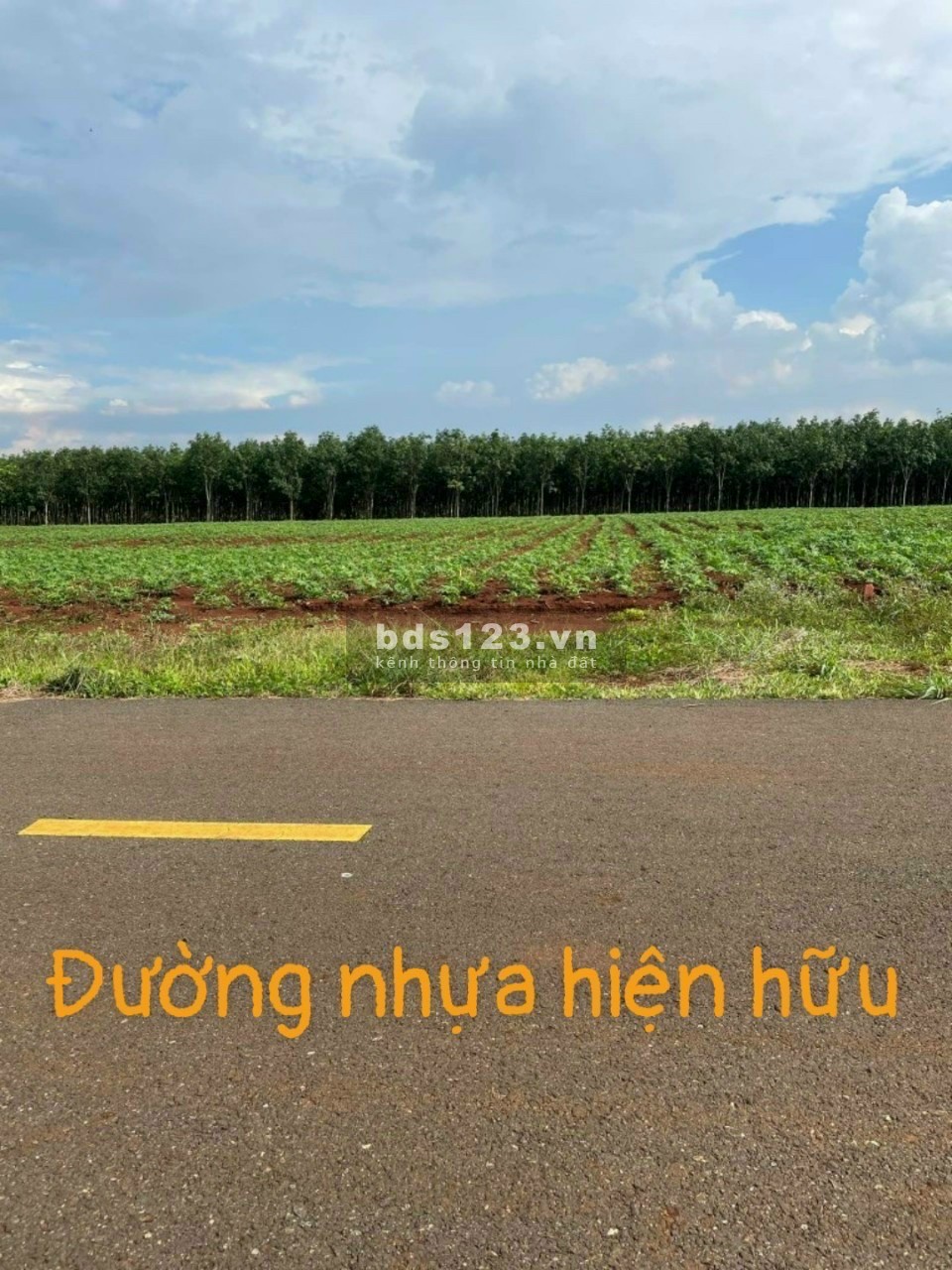 Gấp Gấp Gấp ! Đất Dân Cần Bán 1200m2 Đường Nhựa 12m | Minh Lập - Bình Phước