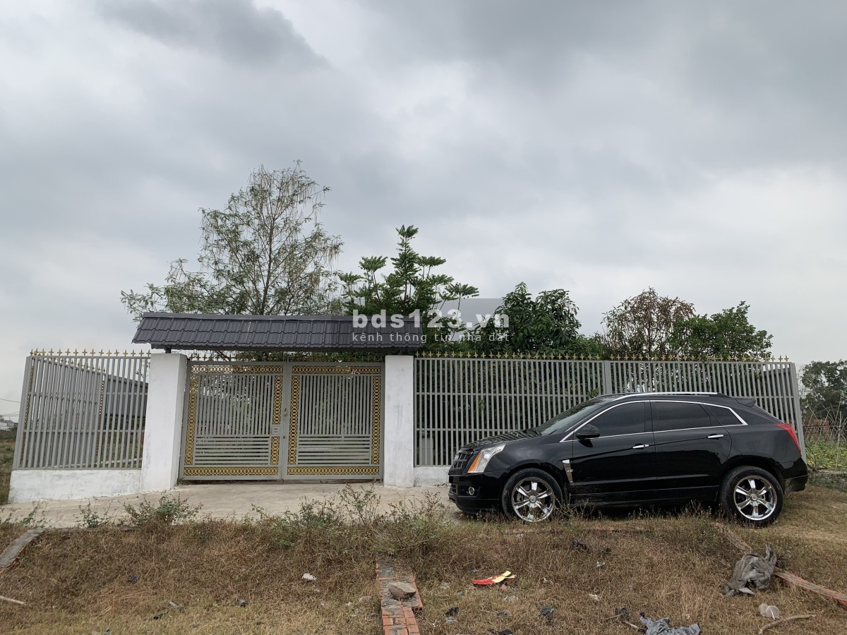 Bán nhà riêng có vườn 1.000m², có nhà, ao cá, vườn trái cây đủ loại Bình Chánh