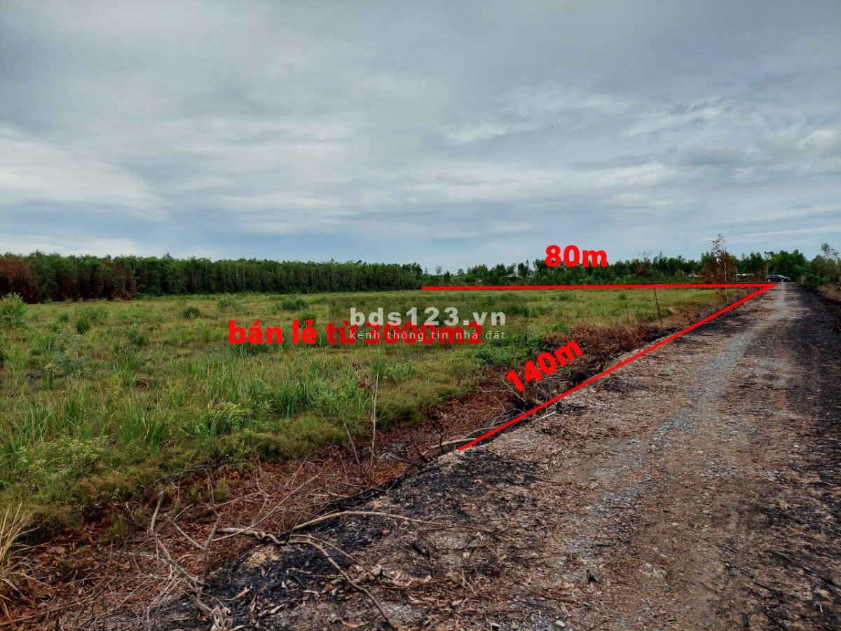 Bán đất 3200m2 đất lúa đường đá xanh 14m, được chuyển thổ, 350TR/1000m2
