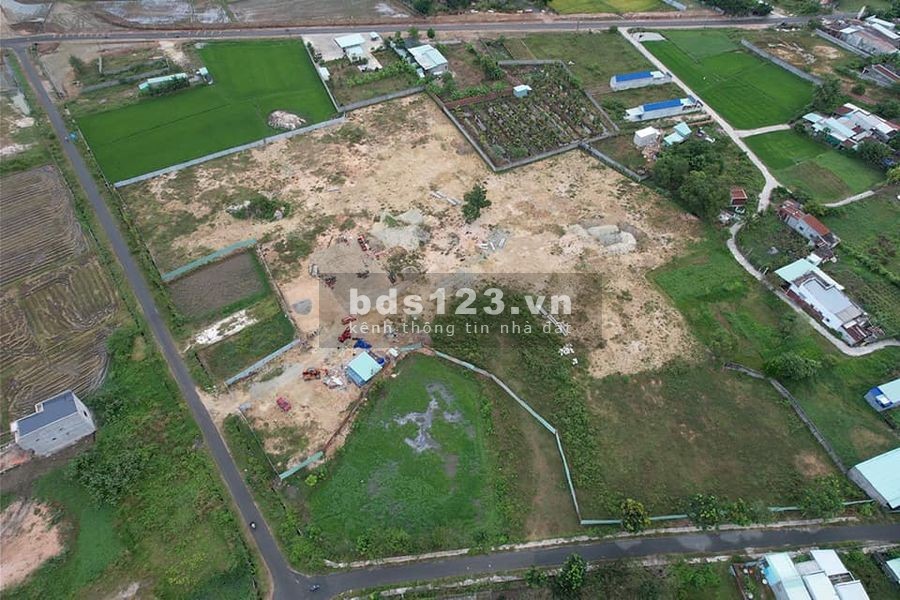Bán đất mặt tiền đường nhựa - Tam Phước
