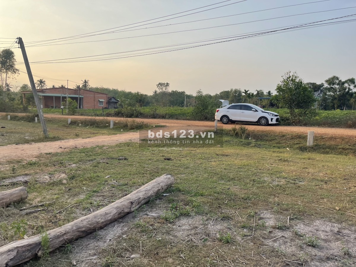 Bán đất Dầu Tiếng, Bình Dương. Cần tiền về quê chuyển nhượng nền đất giá rẻ