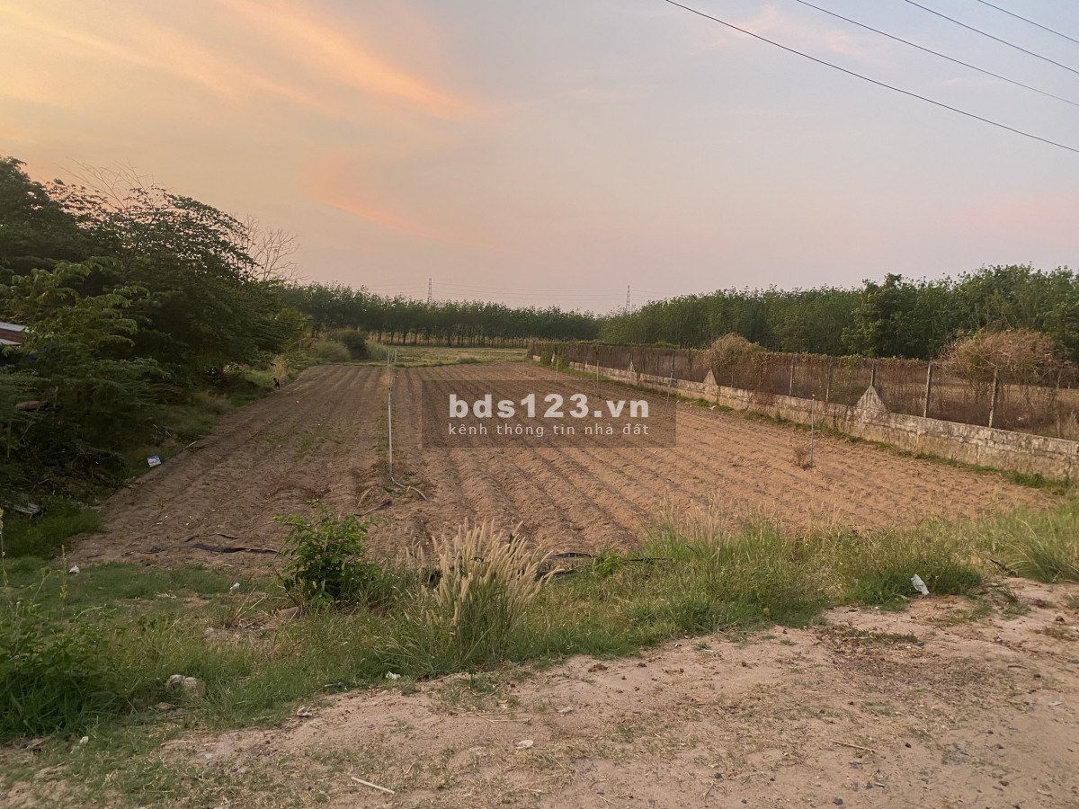 Bán đất thổ cư 20x48 mặt tiền đường nhựa 15m giá 450tr, nếu không mua lô này thì còn mua lô nào?