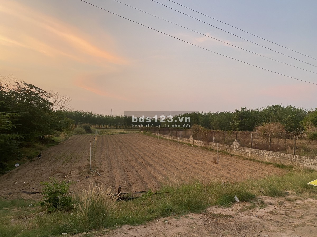 Bán đất thổ cư 20x48 mặt tiền đường nhựa 15m giá 450tr, nếu không mua lô này thì còn mua lô nào?