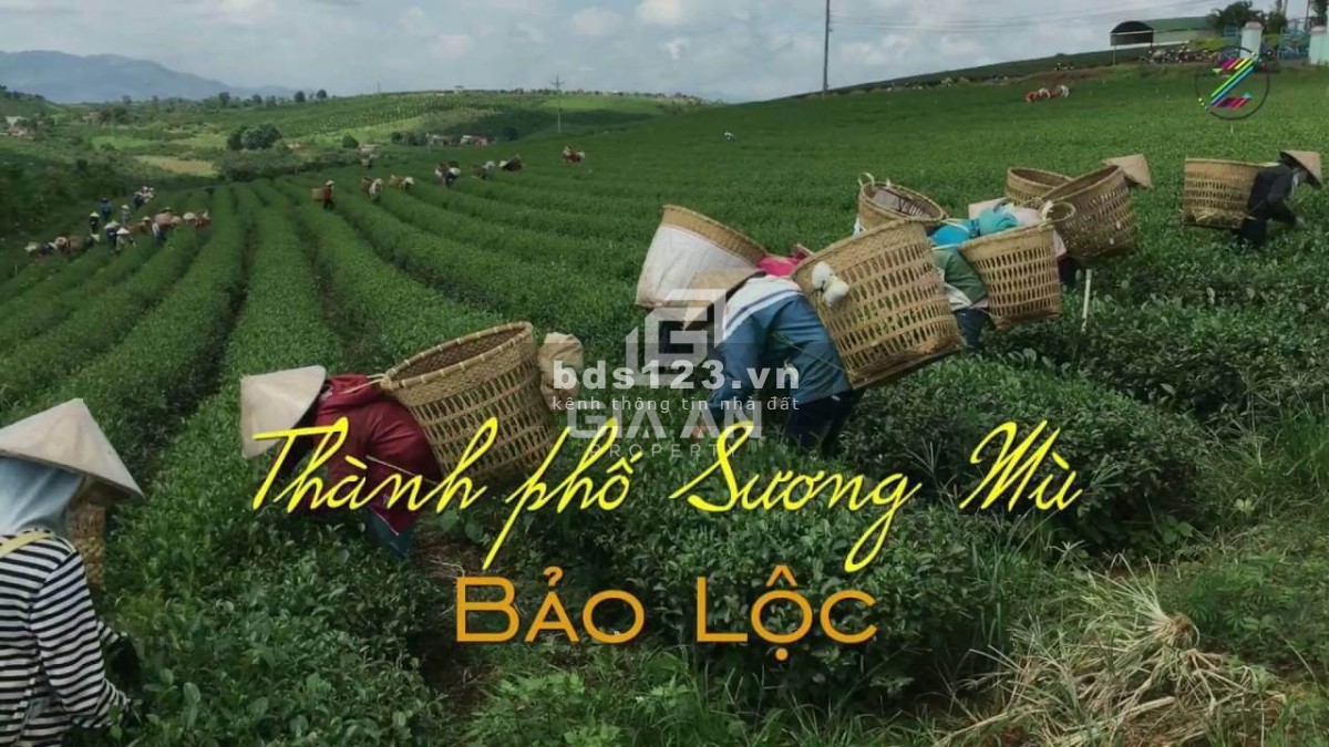 Bán đất Lý Thái Tổ view đẹp giá chỉ 1.3 tỷ, diện tích 51.3m2