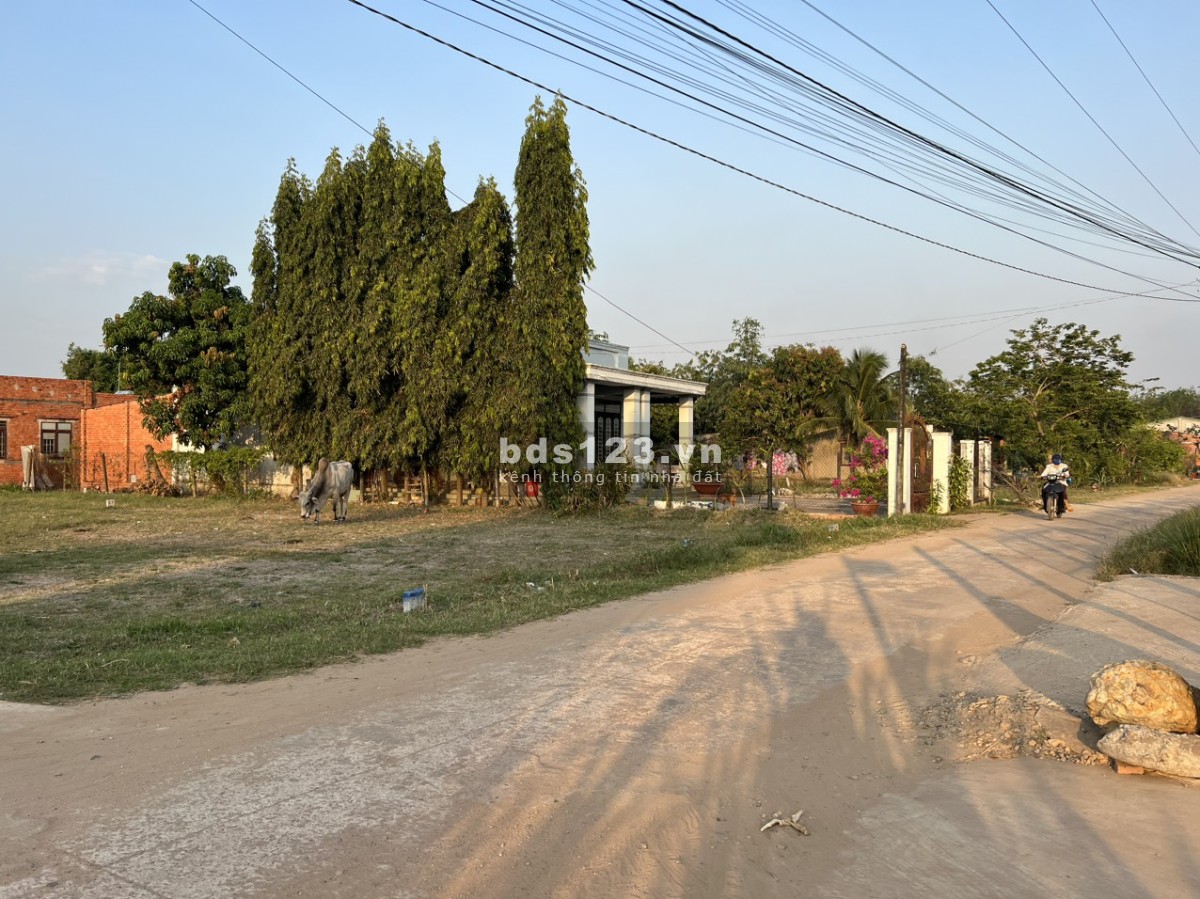 Bán đất MT 16m view núi bà Tân Châu cách DT785 300m